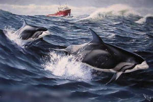 Dolphin white - wieloryb, towarzyszące naczyniach morskich Dolphin white - wieloryb, towarzyszące naczyniach morskich